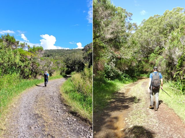 Deux kilomètres dans les bois de couleurs pour qui passera par là