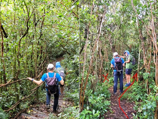 Descente vers la Ravine Sèche et bifurcation à ne pas manquer