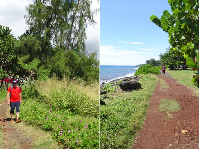 Végétation assez abondante malgré l'urbanisme