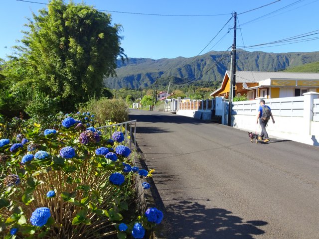 La Ligne Quatre Mille bordée de dizaines de jardins fleuris