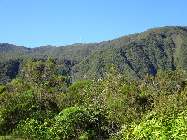 On a le Piton Textor en ligne de mire