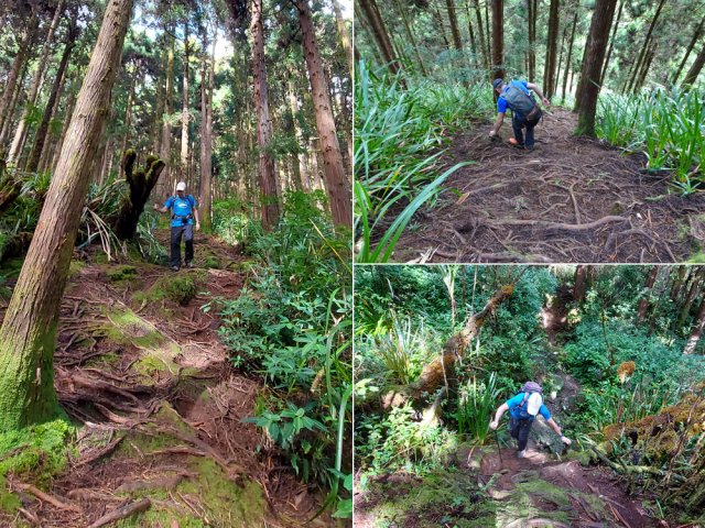 Quelques portions du sentier s'effectuent sur de très fortes descentes