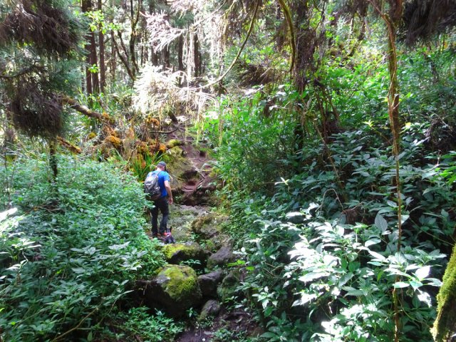 La traversée de la Ravine Fortunée annonce l'arrivée au Chemin Dureau