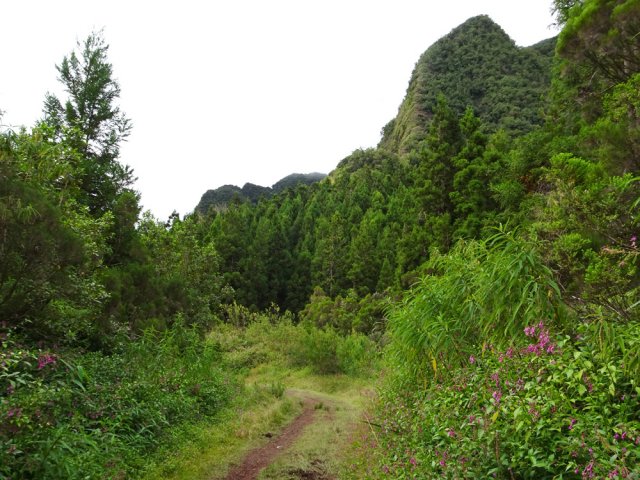 On se retrouve au pied du Morne de St-François
