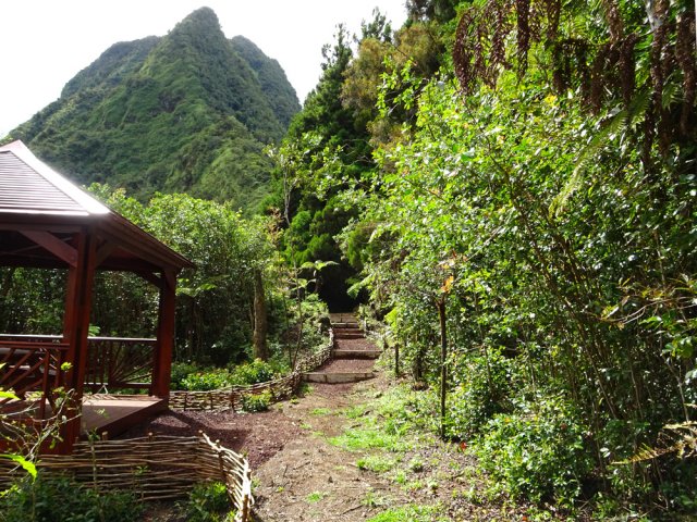 Le très agréable sentier de la Ligne 500