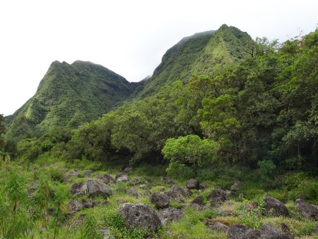 Traversée du Grand Bras Piton avant de retrouver la ville