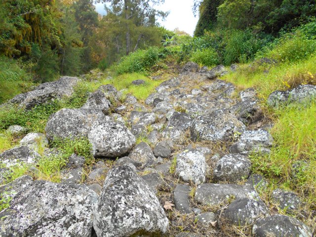 Traversée de la Ravine Sèche pour rejoindre la Ligne d'Ambelle