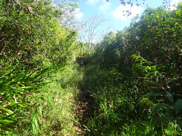 La fin de la route ressemble à la première partie