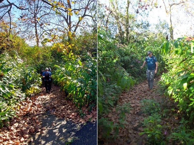Début de l'Ancienne Nationale transformée en large sentier