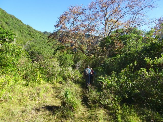 Le sentier du point de vue sur Grand Etang est très correct jusqu'à la ravine