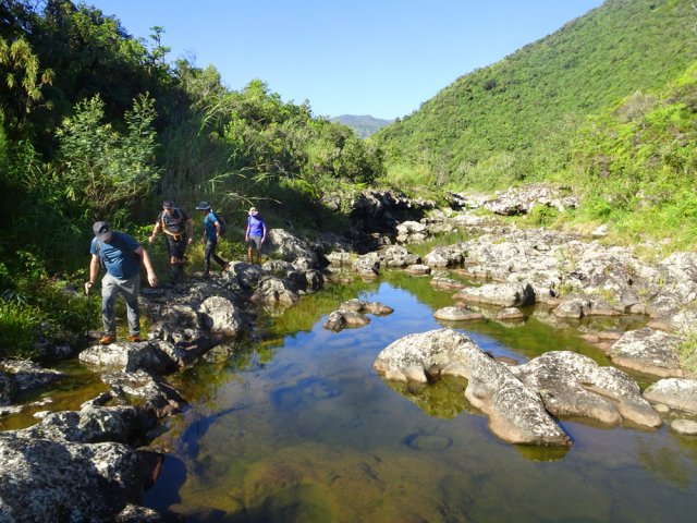 Un long bassin accueille quelques minuscules poissons