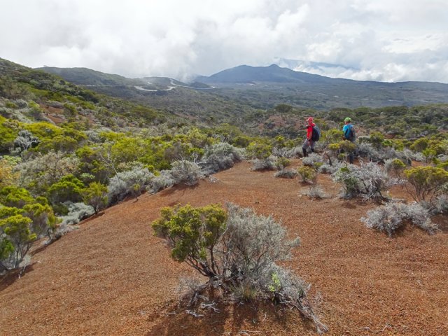 La fin de la boucle pour rejoindre la route du volcan et Bois Ozoux