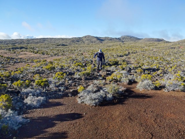Le terrain est souvent assez plat entre les petits pitons