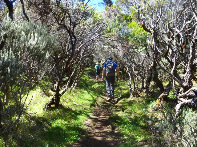 A partir de 2100 m le terrain s'assagit dans les branles