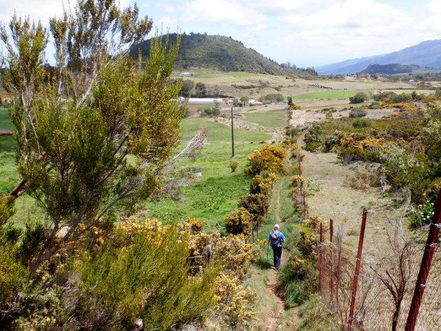 On poursuit sur les sentiers rectilignes entre les clôtures