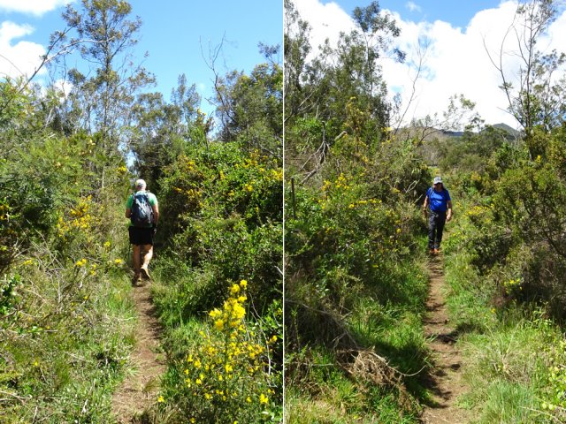 La dernière portion après le pont s'effectue dans les ajoncs
