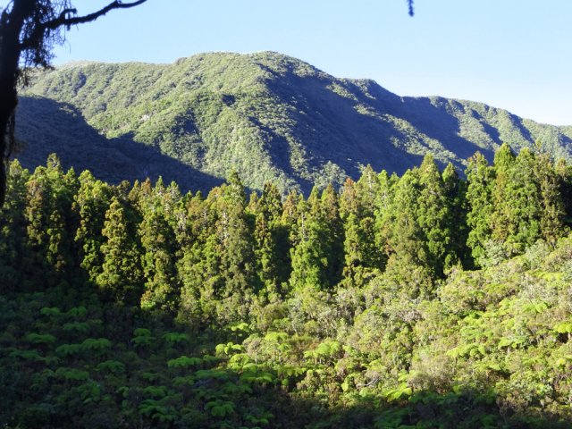 La Grande Montée et le cœur du cratère du Piton Doré