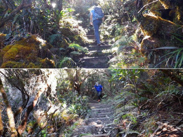La deuxième partie de la montée comporte beaucoup de marches en bois