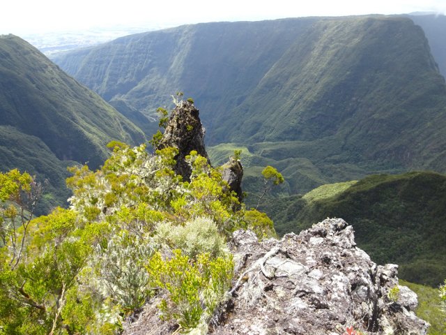Seul le dernier mètre dépasse de la végétation