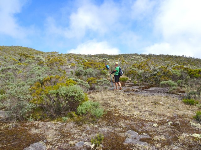 Retour vers le sentier en cherchant les meilleurs passages dans les clairières