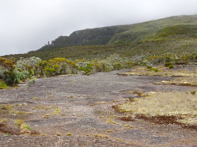 Les chicots, au loin, en débutant le sentier vers La Bretagne
