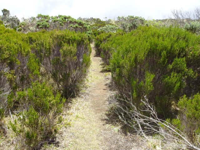 La fin du sentier à l'approche du gîte s'effectue sur un boulevard