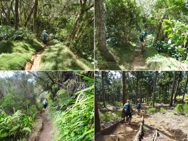 La descente s'effectue sur le même sentier qu'en montée