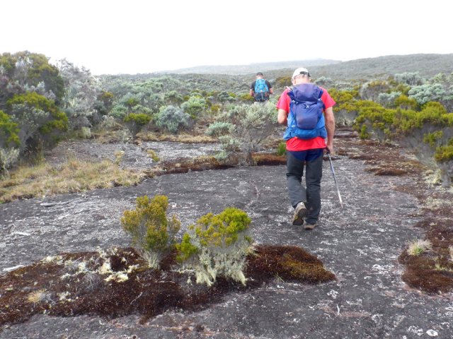 Larges plages basaltiques constituant la planèze de la Roche Écrite