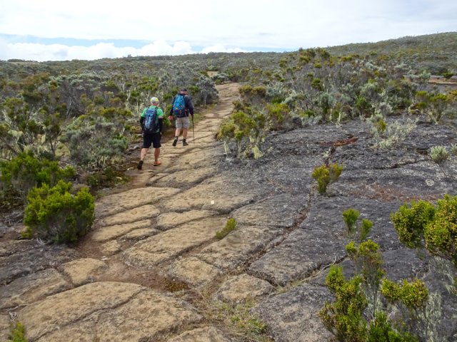 On retrouve le sentier de la Roche Écrite venant du gîte
