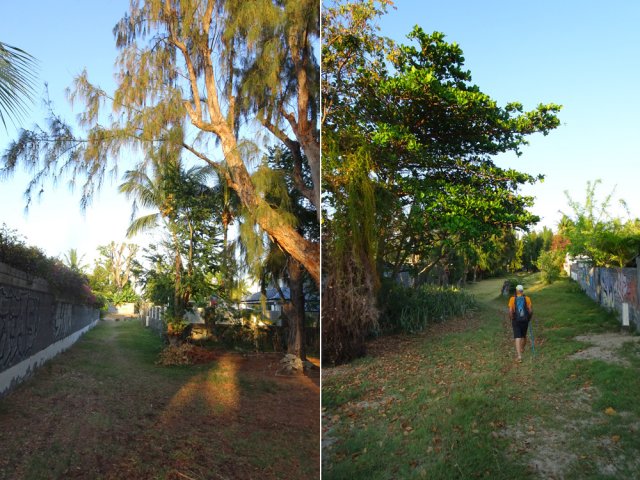 Rejoindre la mer par une large allée verdoyante entre les habitations