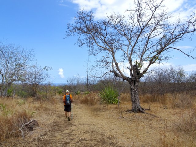 Les arbres sont très rares dans cette zone désertique et inculte