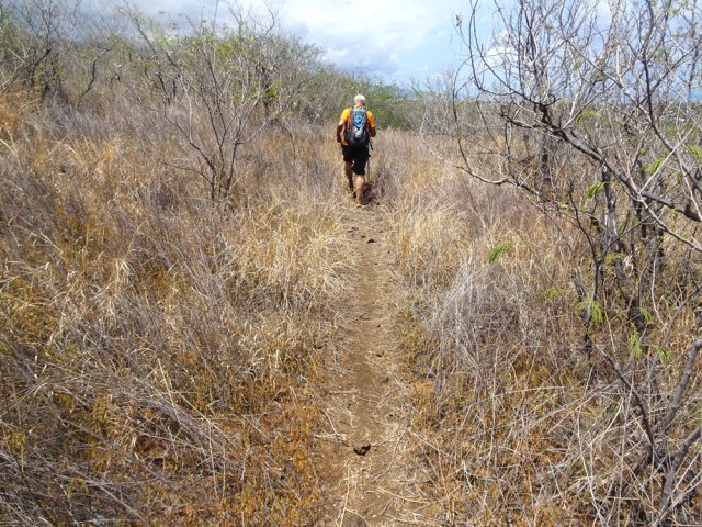 La fin de la descente s'effectue dans une nouvelle savane couverte d'épineux