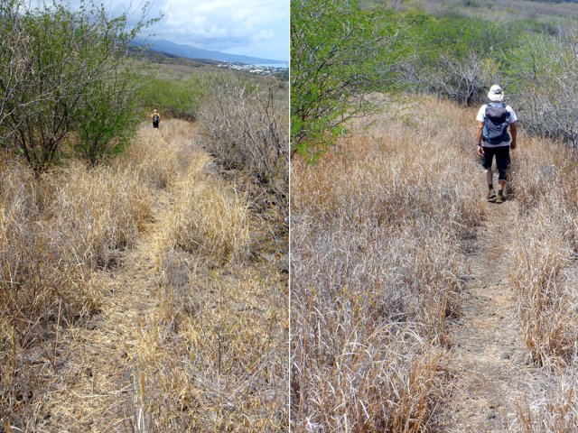 Le sentier est très facile à suivre jusqu'à la RN1a