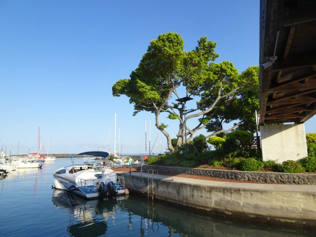 Arrivée au port de Saint-Gilles