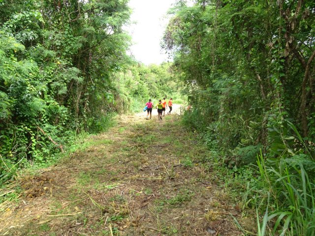 Le chemin se dirige vers le premier étang