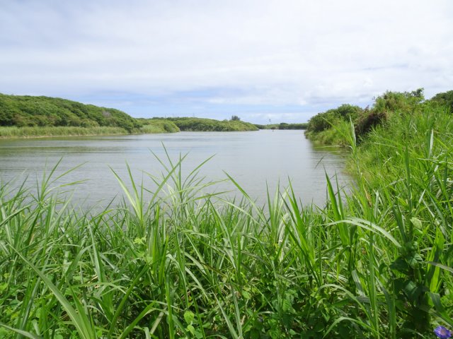 Le chemin contourne ensuite les queues de l'étang