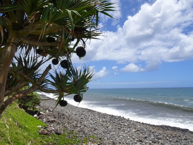 L'océan est à deux pas du chemin