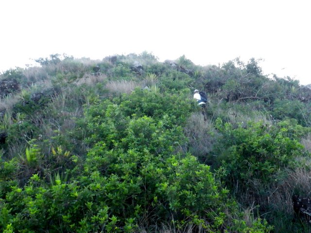 Les derniers efforts pour atteindre le sommet