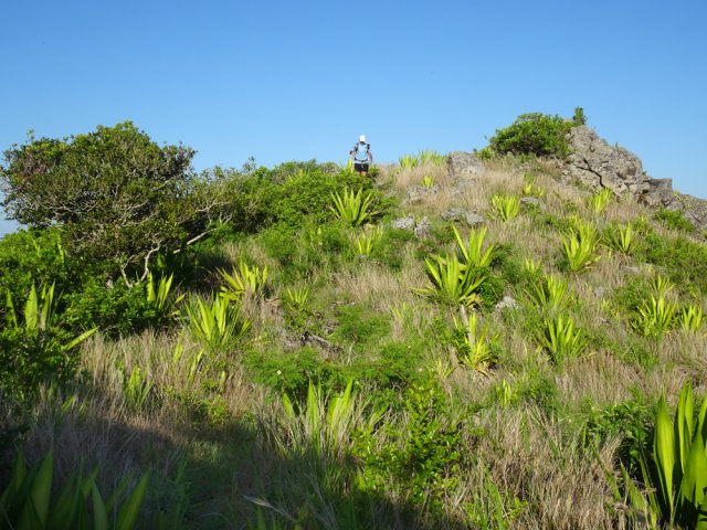 Une descente facile sans avoir à chercher le sentier
