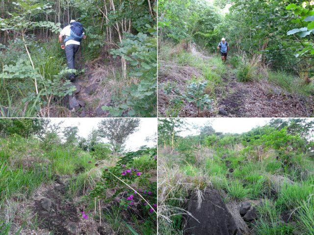 Une idée du sentier de montée, peu marqué mais suffisamment visible