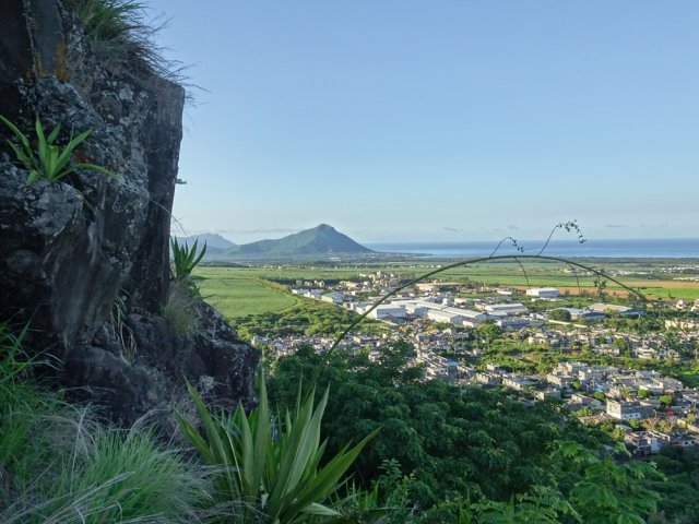 Nombreuses vues sur la Tourelle des Tamarins