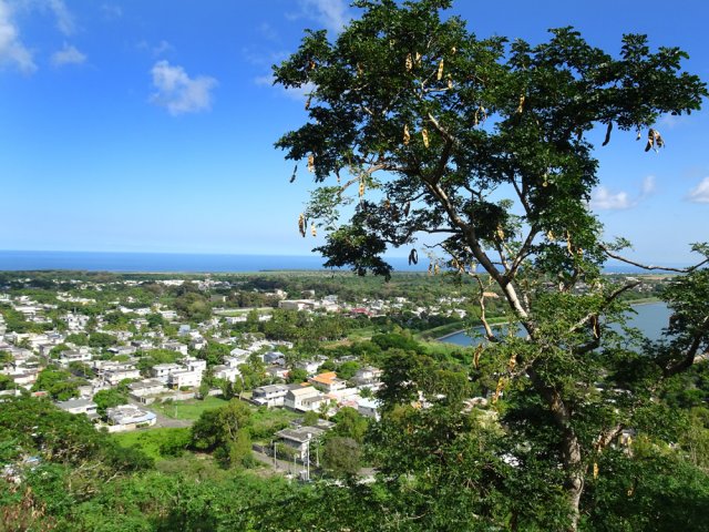 Le village de Bambous au bord de la Ferme Réservoir