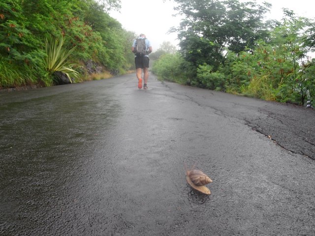 Cyclistes, coureurs, marcheurs et rampants aiment le circuit très fréquenté