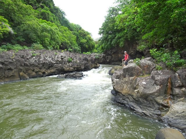 Plus de sentier mais des passages assez aisés pour explorer le Grand River South East