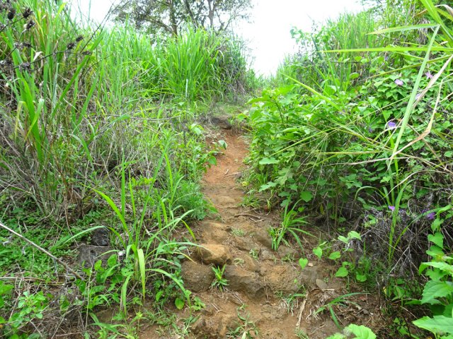 La piste se transforme en sentier