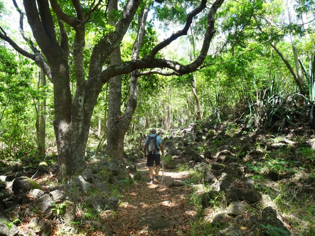 Toute la zone est un vaste pierrier