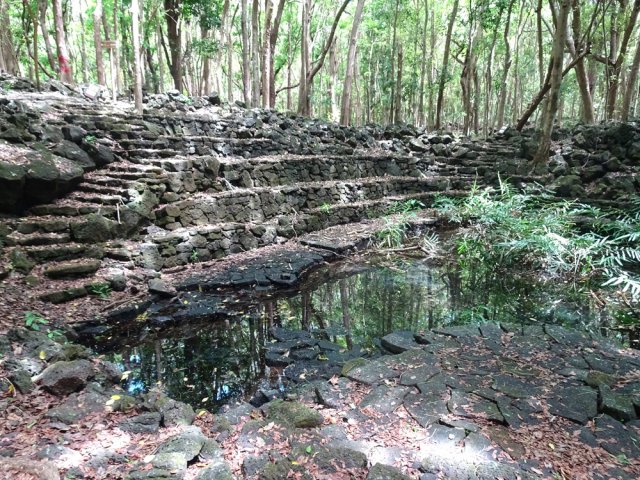 Aménagements de pierres autour et dans la Mare Mahogany
