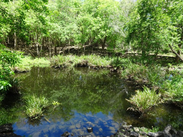 La Mare Chevrettes très appréciée des singes