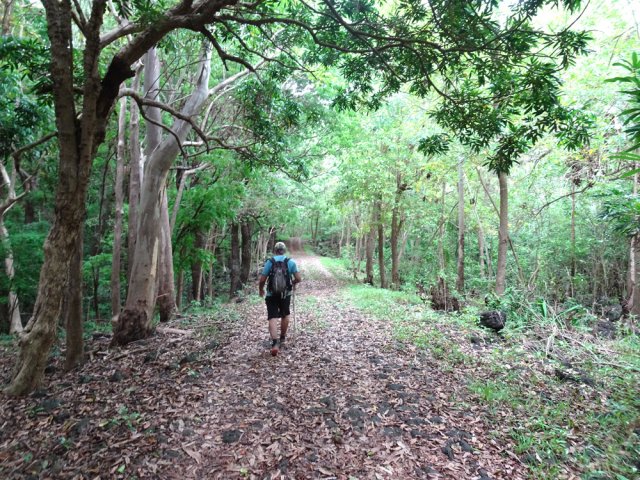 La suite emprunte une très longue piste ombragée