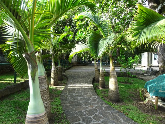 Balade autour du Centre